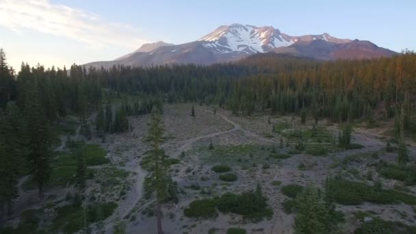 Mount Shasta Bunny Flat Sunset Aerial Shot Mountain Forest California — Stock video