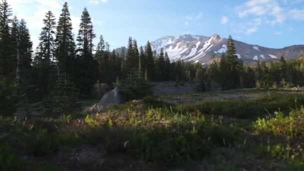 Mount Shasta Panther Meadows Stabilizátor Gimbal Shot Tracking Right California — Stock video