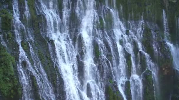 Vattenfall Shasta California Moss Och Burney Falls — Stockvideo