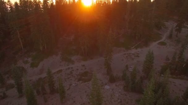 Маунт Шаста Сансет Лайт Банни Флэтс Лес Воздушный Шот Калифорния — стоковое видео