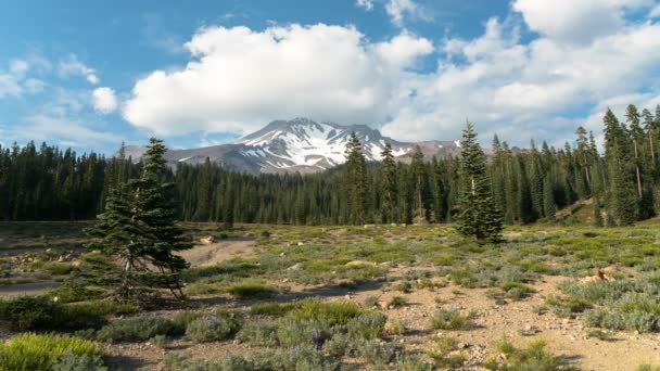 Mount Shasta Bunny Flat Time Lapse Cloudscape Kalifornia — Stock videók