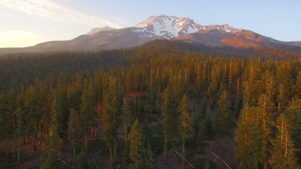 Mount Shasta Bunny Flat Sunset Air Shot Mountain Forest California — Stock video