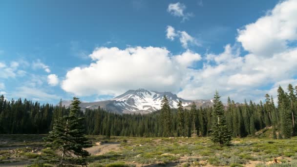 Bunny Flat Time Lapse Cloudscape California 샤스타 — 비디오