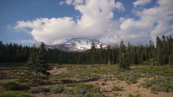Mount Shasta Summit Från Bunny Flat Moln Time Lapse Kalifornien — Stockvideo