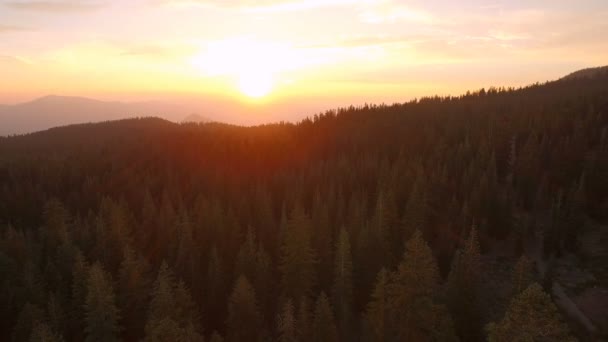Маунт Шаста Сансет Лайт Банни Флэтс Лесной Воздушный Шот Калифорнии — стоковое видео