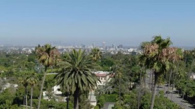 Beverly Hills Havacılık Kuruluşundan Los Angeles Palm Trees 'le Çekildi