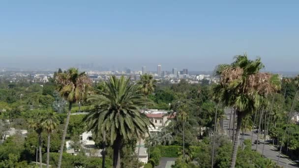 Los Angeles Beverly Hills Aerial Establish Shot Palm Trees — Stock Video