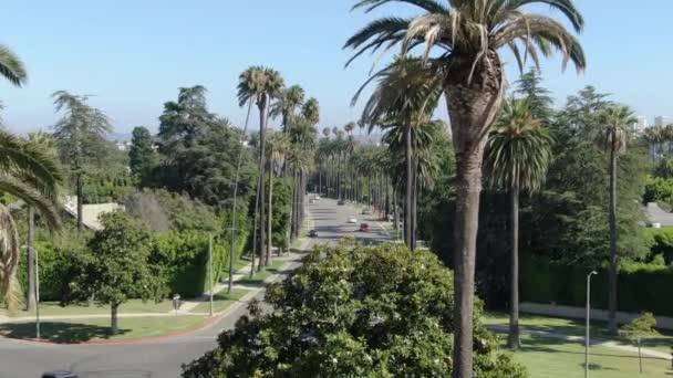 Beverly Hills Aerial Stabilire Colpito Palme Volare Attraverso — Video Stock