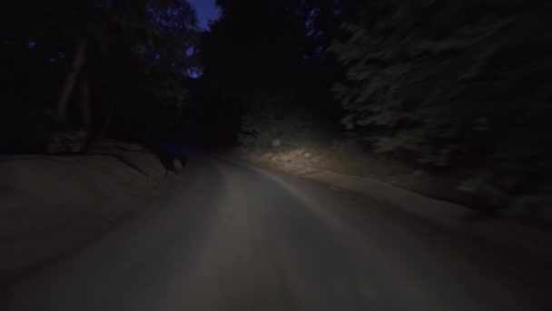Floresta Alpina Estrada Estreita Antes Alvorecer Condução Placa Visão Traseira — Vídeo de Stock