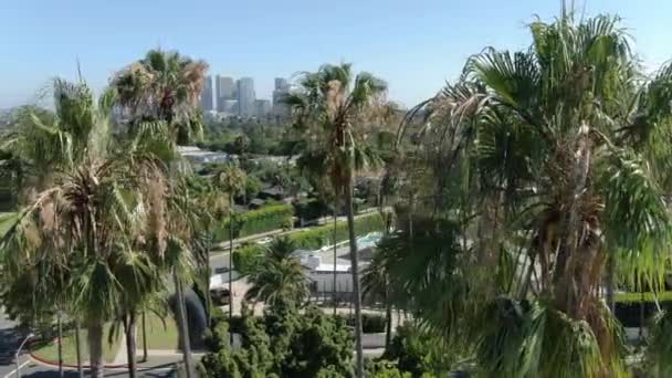 Beverly Hills Und Century City Aerial Etablieren Schussverfolgung Linker Palmen — Stockvideo