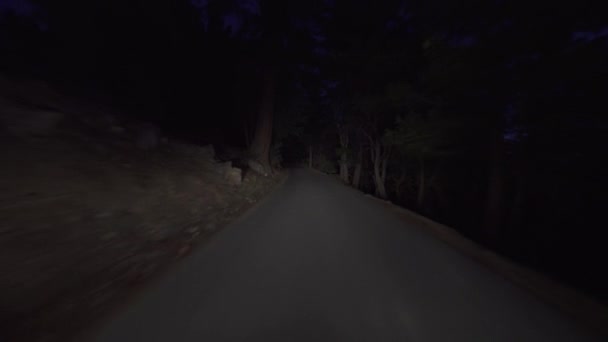 Alpine Forest Narrow Road Por Noche Placa Conducción Vista Trasera — Vídeo de stock