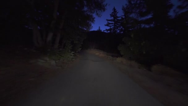Alpine Forest Narrow Road Dawn Driving Plate Front View California — Vídeo de stock