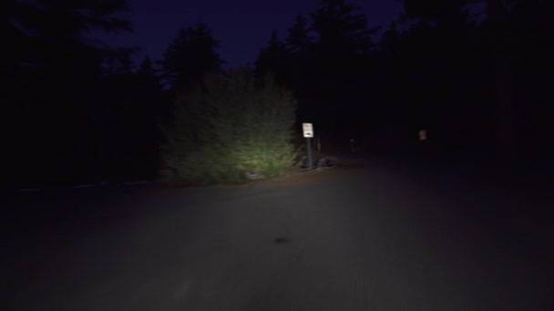 Alpine Forest Narrow Road Por Noche Placa Conducción Vista Frontal — Vídeo de stock
