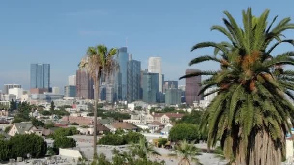 Los Angeles Belvárosa Légierő Létrehozása Shot Pico Union Palm Fák — Stock videók