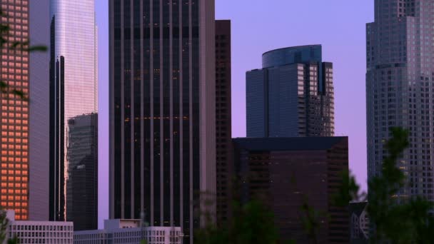 Los Angeles Downtown Sunset Skyscrapers Hermosa Vista Park Dusk — стокове відео