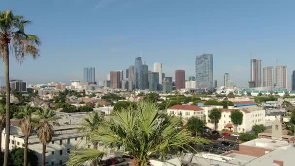 Los Angeles Belvárosa Légierő Létrehozása Shot Pico Union Palm Fák — Stock videók