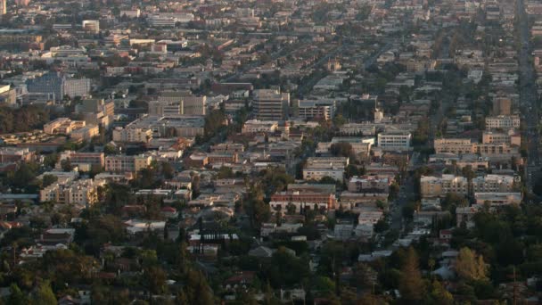 Los Angeles Cityscape Thai Town Griffith Park Sunset Night Time — Video Stock