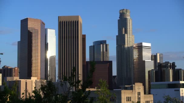Los Angeles Downtown Atardecer Rascacielos Árboles Hermosa Vista Park — Vídeo de stock