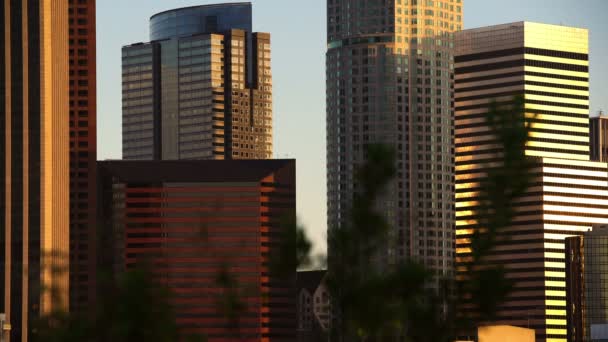 Los Angeles Downtown Sunset Reflections Skyscrapers Hermosa Vista Park — стокове відео