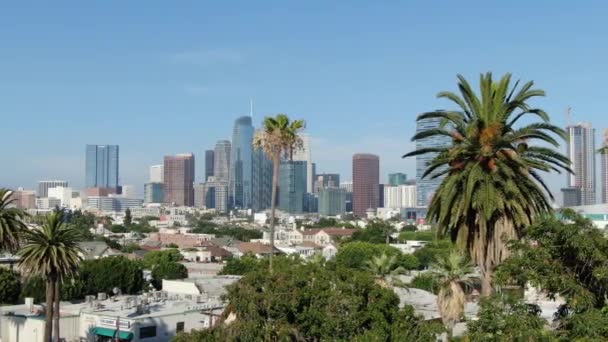 Los Angeles Belvárosa Légierő Létrehozása Shot Pico Union Palm Trees — Stock videók