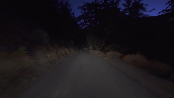 Alpine Forest Narrow Road Dawn Driving Plate Front View California — Stock video