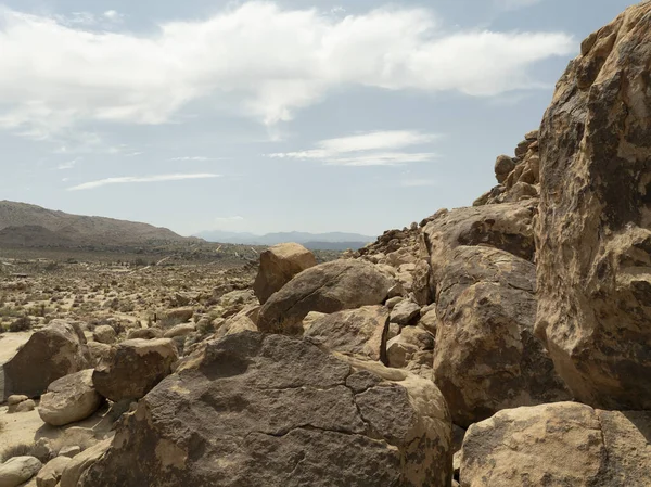 Joshua Tree Desert Canyon Rock Formation California USA