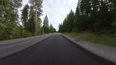 American Northwest Bulutlu Orman Otoyolu 01 Ön Görüş Rocky Point Sürüş Plakası Oregon ABD