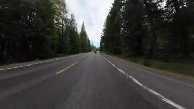 American Northwest Bulutlu Orman Otoyolu 03 Ön Görüş Rocky Point Sürüş Plakası Oregon ABD