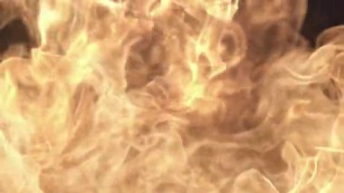 Yavaş Çekimde Zarif Cehennem 480fps