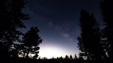 Samanyolu Galaksisi Günbatımı: Güneydoğu Gökyüzü Çam Ağaçları Üzerine 15 mm Eğik Astrofotografi:
