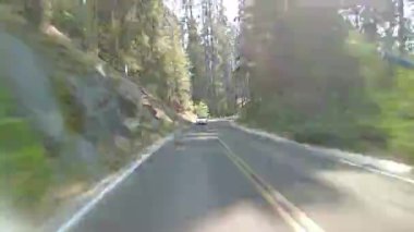 Sequoia Ulusal Parkı Generallerinin Hiperlapse Sürüşü Kuzey Otobanı 03 Arka Manzara ABD