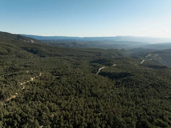 Southern California Mt Pinos Aerial Shot of Los Padres Forest California USA