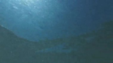 Sualtı Doğa Arkaplanından gelen güneş ışığı