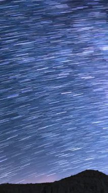 Perseid Meteor Duş Yıldızı İzlerinin Dikey Çekimi, ABD 'de Kaliforniya' da Kanyon Astrofotografı Hızı Üzerine Güneydoğu Gökyüzü 'nde