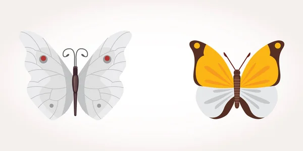 Set von bunten Schmetterling-Vektor-Design-Illustration. Sommerinsekt — Stockvektor