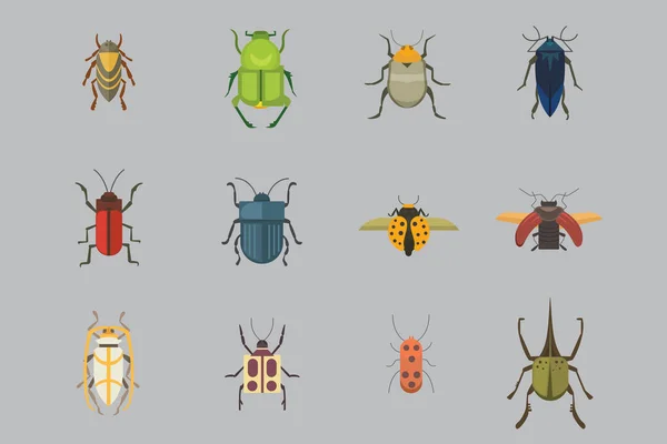 Sada hmyzu ploché styl vektorový design ikon. Kolekce příroda brouka a zoologie kreslené ilustrace. Chyba ikona wildlife koncept — Stockový vektor