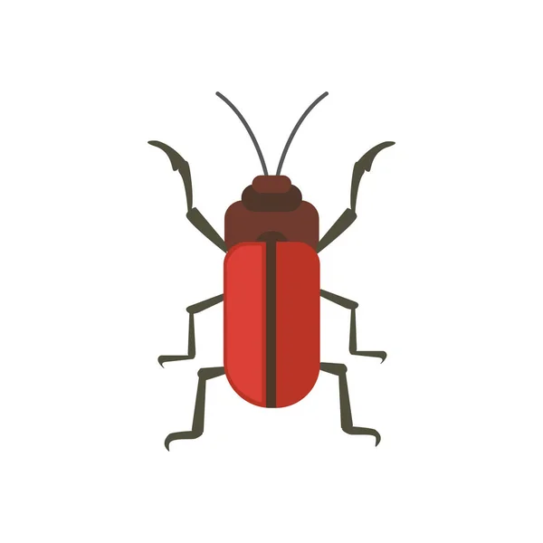 Insect flat style vector design icon. nature beetle cartoon illustration — Stock Vector