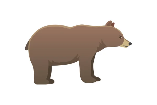 Orso americano vettoriale Broun isoaltato. illustrazione zoo grizzly . — Vettoriale Stock