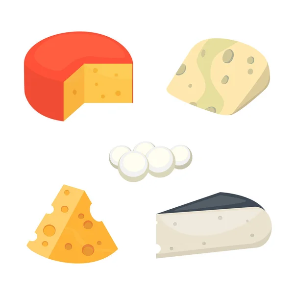 Tipos de queso. iconos de ilustración vectorial estilo de dibujos animados . — Archivo Imágenes Vectoriales