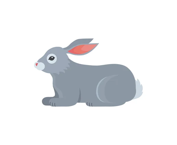 Karikatur Kaninchen Vektor Ikone isoliert. feines Kaninchen. — Stockvektor