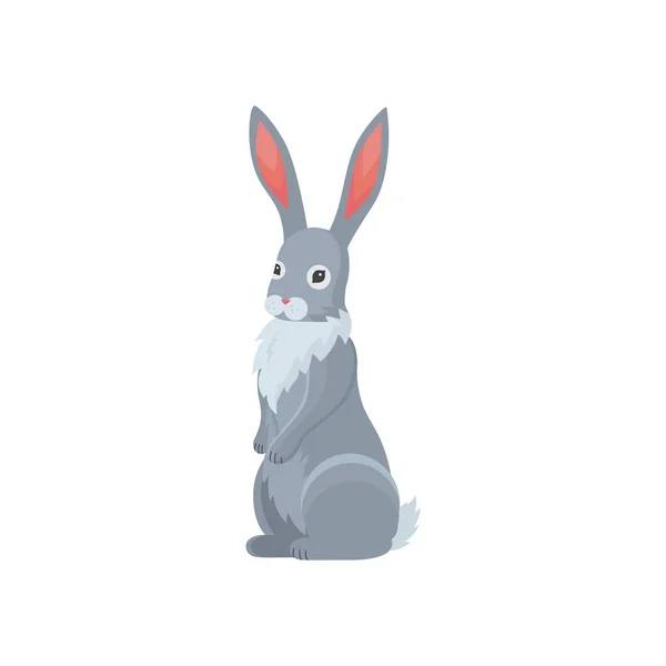 Niedliches Kaninchen im Cartoon-Stil. Häschen-Haustier Silhouette. — Stockvektor