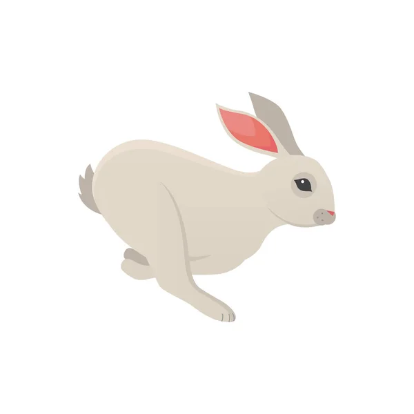 Dibujos animados conejo vector icono aislado. Fino conejito mascota . — Archivo Imágenes Vectoriales