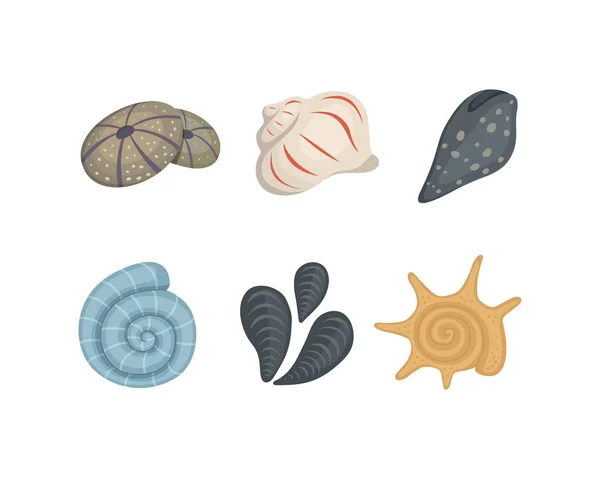 Iconos vectoriales de concha marina en estilo de dibujos animados. Conjunto de moluscos de almeja. Océano cockleshell . — Archivo Imágenes Vectoriales