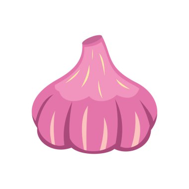 Sarımsak izole edildi. Çizgi film tarzında vitamin sebzeleri.