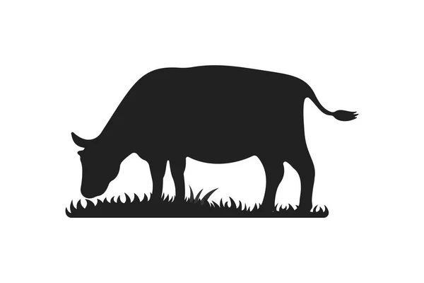 Silhouettes de vaches sur herbe. Pâturage de vaches sur illustration vectorielle de dessin animé de prairie . — Image vectorielle