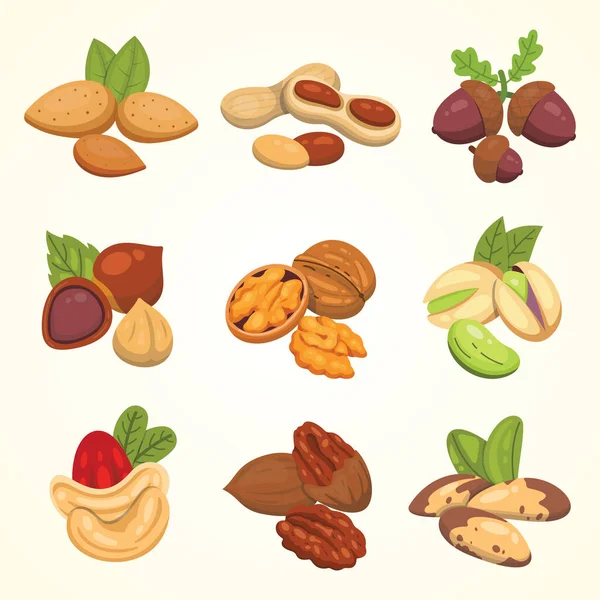 Establecer iconos vectoriales nueces en estilo de dibujos animados. Recogida de alimentos de frutos secos. Cacahuete, avellana, pistacho, anacardo, nuez, nuez de Brasil, almendra y bellota — Vector de stock