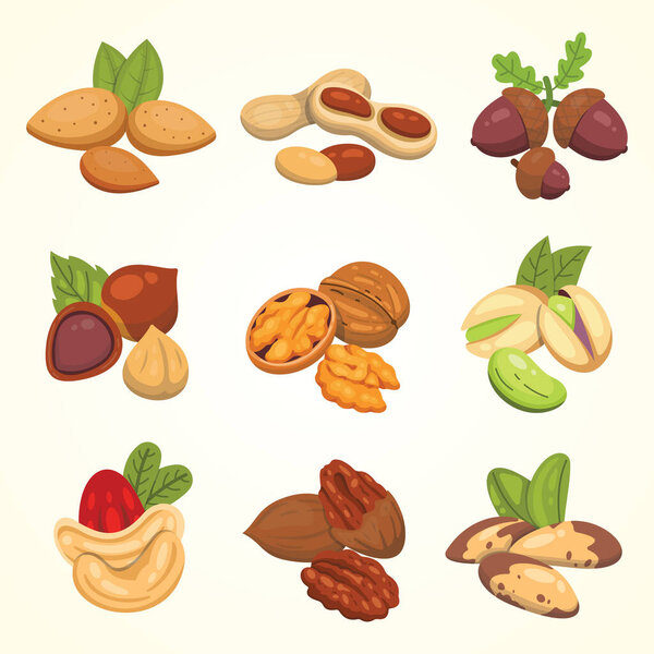 Задайте вектор в карикатурном стиле. Коллекция ореховых продуктов. Арахис, фундук, фисташка, кешью, пекан, грецкий орех, бразильский орех, миндаль и желудь
