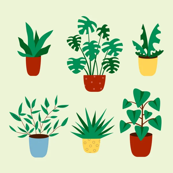 Cactus and succulent plant growing in pots. Vector Cacti and succulents collection of house plants. — Stock Vector