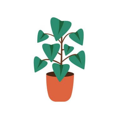 Kaktüs ve sulu bitkiler tencerede yetişiyor. Vektör Kaktüsü ve ev bitkilerinin sulu koleksiyonu.