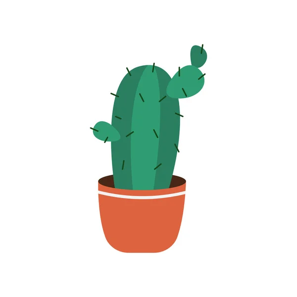 Cactus y plantas suculentas que crecen en macetas. Vector de cactus y suculentas colección de plantas de la casa. — Archivo Imágenes Vectoriales